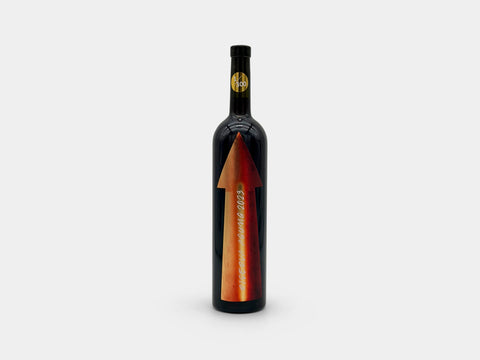 Gabrio Bini Riserva Agung Terre Siciliane Red 2023
