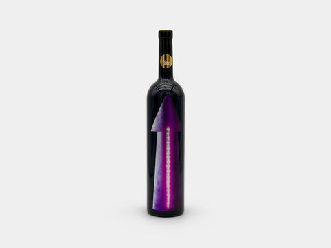 Gabrio Bini Riserva Gabrio Terre Siciliane Red 2023