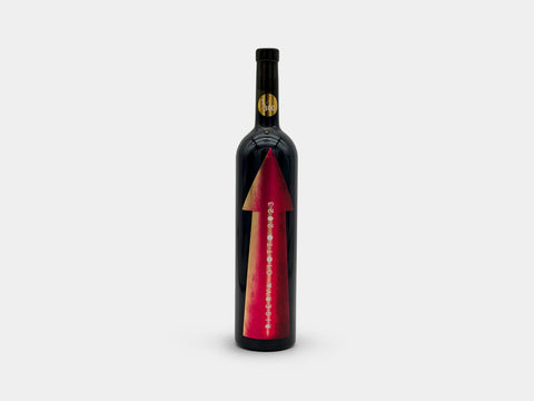 Gabrio Bini Riserva Giotto Terre Siciliane Red 2023