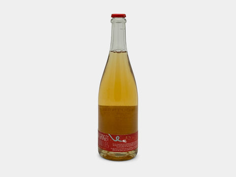 Deboutbertin Gogo Gadget Aux Bulles 2020