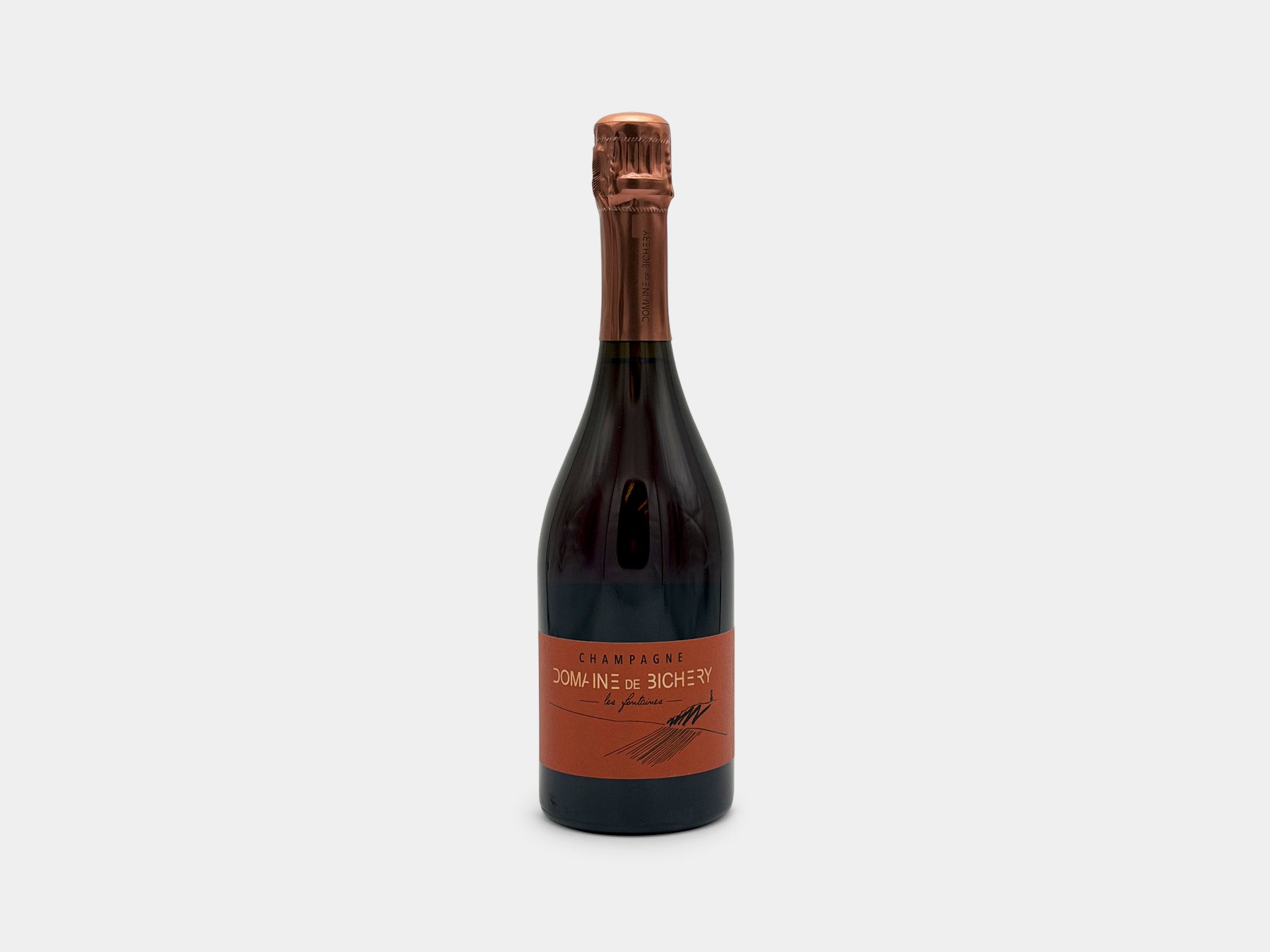 Domaine de Bichery Les Fontaines 2022 – LESS IS MORE WINES