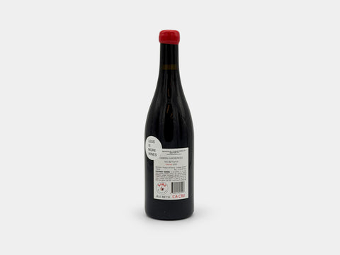 Damien Guadagnolo Gamay 2022