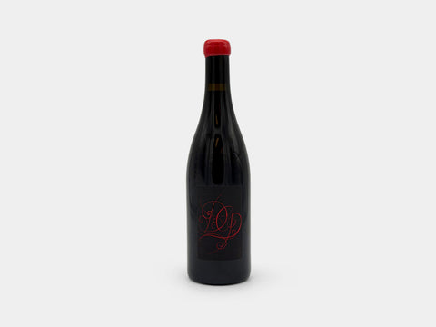 Damien Guadagnolo Gamay 2022