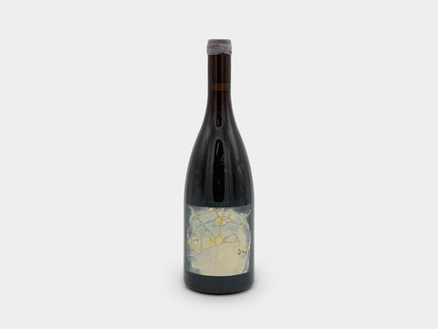 Hiyu Sun Dog Perennial 2020