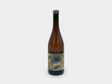 Hiyu Tzum Eventyr Perennial 2017
