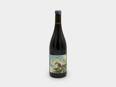 Hiyu Tzum Oak Ridge Spring Ephemeral 2019