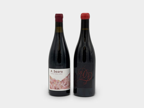 Ladies Choice Wine Club