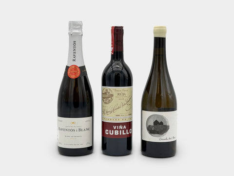 Taco Tuesday Wine Club Vol. 20 — Raventós i Blanc 2023, Viña Cubillo Crianza 2018, and Tierra Fundida Cercado del Pino Blanco 2022