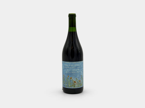 Lady of the Sunshine Pinot Noir Bassi 2024
