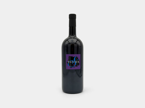 Radikon Sivi 2023 Magnum