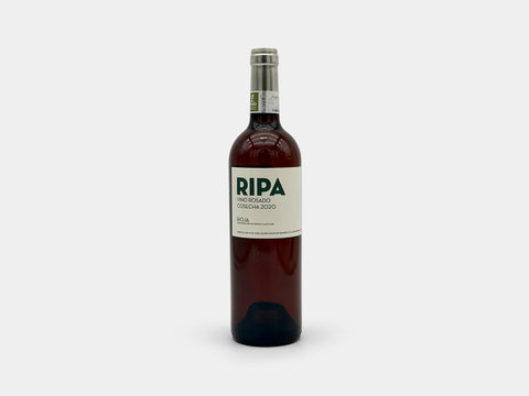 Jose Luis Ripa Rioja Rose Garnacha 2020
