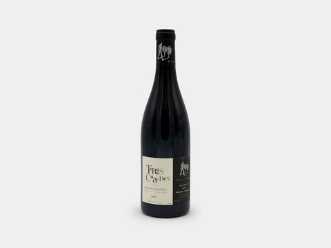 Domaine des Roches Neuves Terres Chaudes Saumur Champigny 2021