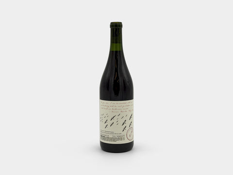 Scar of the Sea Coferment Pinot Gris Pinot Noir Bassi Wine 2025 – alternate view 2