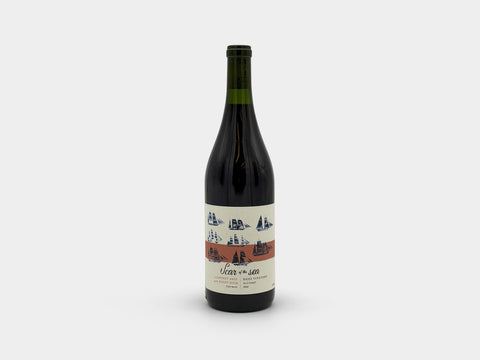 Scar of the Sea Coferment Pinot Gris Pinot Noir Bassi Wine 2025