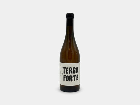 Tanca Nica Terra Forte Terre Siciliane 2023