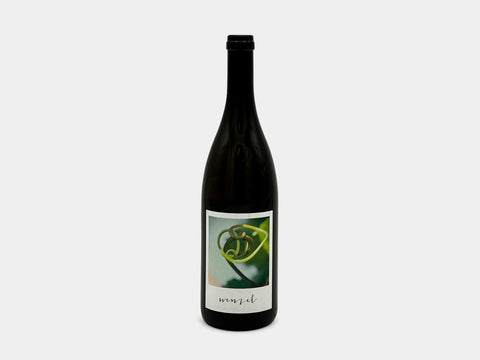 Wenzel Aus dem Quartz Furmint 2021